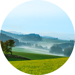6163.net163.am(й)-ٶȰٿ